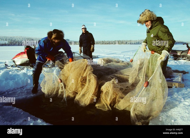 Entdecken Sie das Abenteuer des Eisfischens - Die Härtesten Erfahrungen Online in Germany